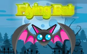 Evening Flight Challenge