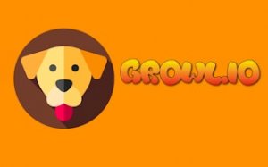 Wild Arena Growth Challenge